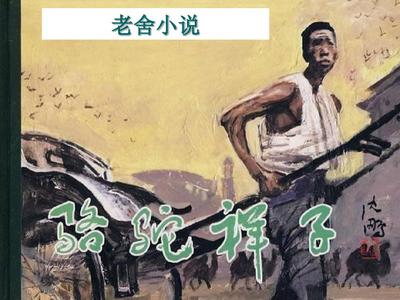2025求个网站